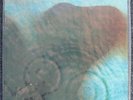 Pink Floyd   Meddle MFSL LP   #56   FACTORY SEALED
