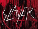 #32718571 Slayer - Vinyl Conflict - [11 VINYL LP] Nieuw