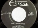 HEAR IT Wisconsin Garage Teener 45 rpm Chuck Sargent 