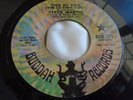 Hear Rare Left Banke Related 45 : Steve Martin   Two By Two   Buddah BDA 219