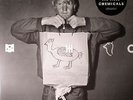 SHOES, The - Chemicals - Vinyl (LP + WAV download code)
