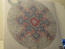 rare RED HOT CHILI PEPPERS i'm beside you RSD 2013 SEALED LTD #blank 2-LP vinyl