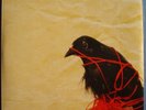 Death Cab For Cutie - Transatlanticism Vinyl 2LP NEU 0551119