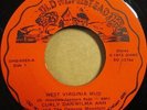 CURLY DAN & WILMA ANN - West Virginia | RARE hillbilly bluegrass bopper 45 HEAR
