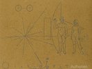 Aufheben - 2 DISC SET - Brian Jonestown Massacre (2012, Vinyl NEW)