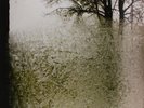 BON IVER - FOR EMMA,FOREVER AGO  VINYL LP NEU