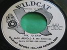 EX Rare Rockabilly Rocker 45 : Jack Arnold & The Chalecos   Hey, Jo Baby   Promo