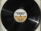 CONCRETE DUB - [Concrete Jungle] LP
