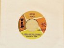 If I Could Give You The World Hearts Of Stone Motown VIP 25064 Mint -