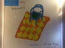 Courtney Barnett - Sometimes I Sit and Think, And Sometimes I Just Sit 2LP NEW Y