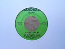 EPITOME OF SOUND - YOU DON'T LOVE ME - RARE 70s RE-PRO ON SANDBAG RECORDS