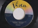ANNETTE: Custom City / Rebel Rider 45 Oldies