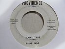 FAINE JADE It Ain't True 45 PROVIDENCE garage punk 60s killer fuzz VG+ promo