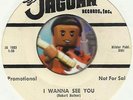 JACKIE LEE COCHRAN  I Wanna See You ROCKABILLY BOPPER PROMO 45 RPM RECORD VG++