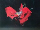 SCORPIONS / TOKYO TAPES (2LP) Gatefold w/Insert Orig JAPAN ISSUE