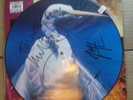 signed/autographed FAITH NO MORE 