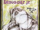 DINOSAUR JR. -YOURE LIVING ALL OVER ME-VINYL LP JAGJAGUWAR NEW