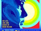 Brian Wilson Love & Mercy OST soundtrack vinyl RSD 2015 Black Friday Record LP