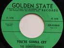 Rare Garage 45 DONNYBROOKES You're Gonna Cry GOLDEN STATE listen