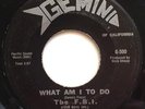 Rare Garage 45 F.B.I. (Four Boys Inc) What Am I To Do / Day-Time GEMINI hear