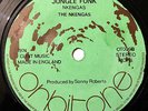 NKENGAS - Jungle Funk / ROY HAMILTON  Jack Jones - ORBITONE '74  AFRO