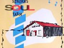 VARIOUS ARTISTS - Seehorn's Soul Farm Vinyl LP Album, Northern Soul, Blues