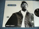 DR. DRE 1992 US AMERICA 12