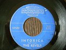 MAD MIKE INSTRO   THE REVELS   intoxica   DOWNEY  2-SIDER  NICE & GREAT