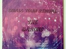 The Barons Small Town Revival Private Synth Psych LISTEN LP