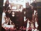 The Walter Trout Band - Tellin Stories - Silverstone Rec. 530 ( Record, LP )