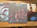 Eagles/Jackson Browne 3 LPs Hotel California,Desperado,Lives in the Balance