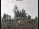Damien Jurado - Saint Bartlett Vinyl LP 12 Tracks Alternative Pop Rock Neuware