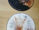 THE DAMNED STRAWBERRIES & LIVE IN NEWCASTLE . BOTH PICTURE DISC. GREAT CONDITION