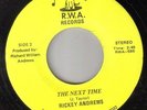 Northern Soul - Rickey Andrews - The Next Time  ** LISTEN **