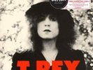 T.Rex-The Slider Vinyl / 12