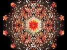 Gold Panda - Half Of Where You Live Vinyl LP (2) Ghostly In NEW