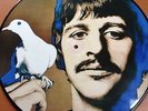 Beatles Alternate White Album Vinyl LP Picture Disc - Ringo Starr Cover