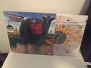 Blink 182 Splatter Vinyl Dude Ranch Hot Topic +44 Boxcar Racer Fall Out Boy