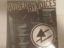 Guided by Voices Dogfish Head Beer Thousand vinyl LP Insects of Rock Sealed Rare