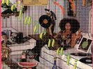 The Meters - Rejuvenation (Expanded Edition) (180 Gram LP)