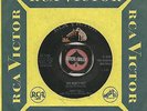 JIMMY DELL She Wont Pet ROCKABILLY BOPPER 45 RPM RECORD NM-