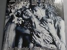 Cradle Of Filth - The Principle Of Evil..UK 2011 Back On Black DBL LP *New*