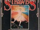 Grave New World  Strawbs Vinyl Record