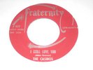 THE CASINOS I STILL LOVE YOU ORIGINAL FRATERNITY F977 UNPLAYED 45 