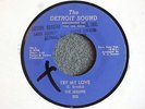 NORTHERN SOUL 45 The Sequins Try My Love The Detroit Sound 503 Mint- Hear MP3