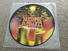 NUCLEAR ASSAULT - SURVIVE - 1988 LP PICTURE DISC - MORE THRASH METAL IN MY SHOP