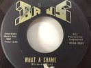 The Knots 1967 What A Shame 45 BAUS 5885 Stones Cover RARE Dayton Garage VG-