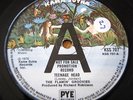 THE FLAMIN' GROOVIES - TEENAGE HEAD  7