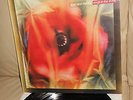 DOGS IN THE TRAFFIC LOVE AND MONEY 1ST PRESS 848 993 33RPM 12