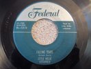JUMP BLUES Little Willie Littlefield Goofy Dust Blues Federal mp3